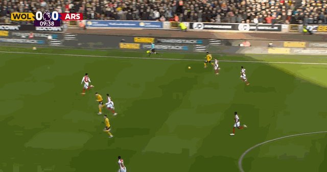 萨拉维亚.gif