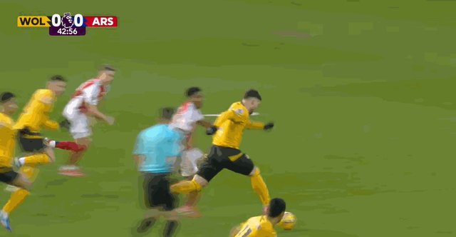 斯凯利直红.gif